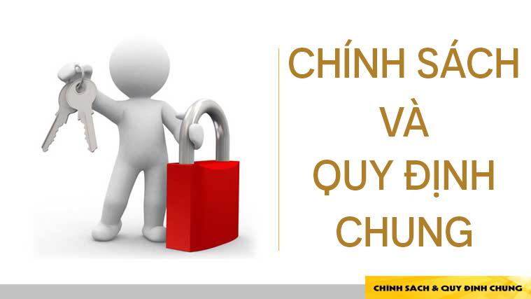 Chính sách giới thiệu và sử dụng sản phẩm